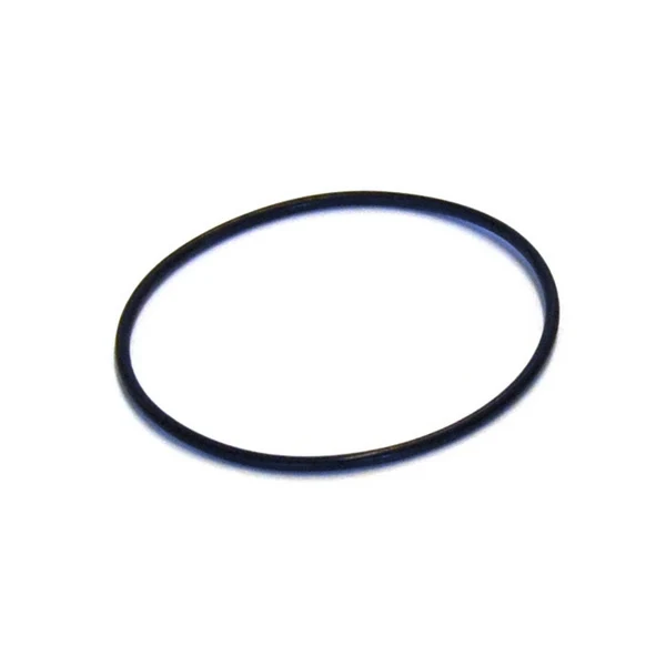 Ascaso Big Dream Group Cap O-ring